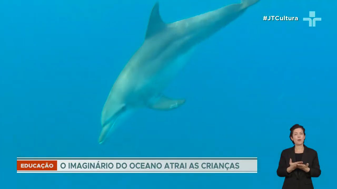 fauna-marinha-em-destaque-usp-lanca-colecao-de-e-books-educativos-para-jovens-e-criancas