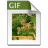 gif.png