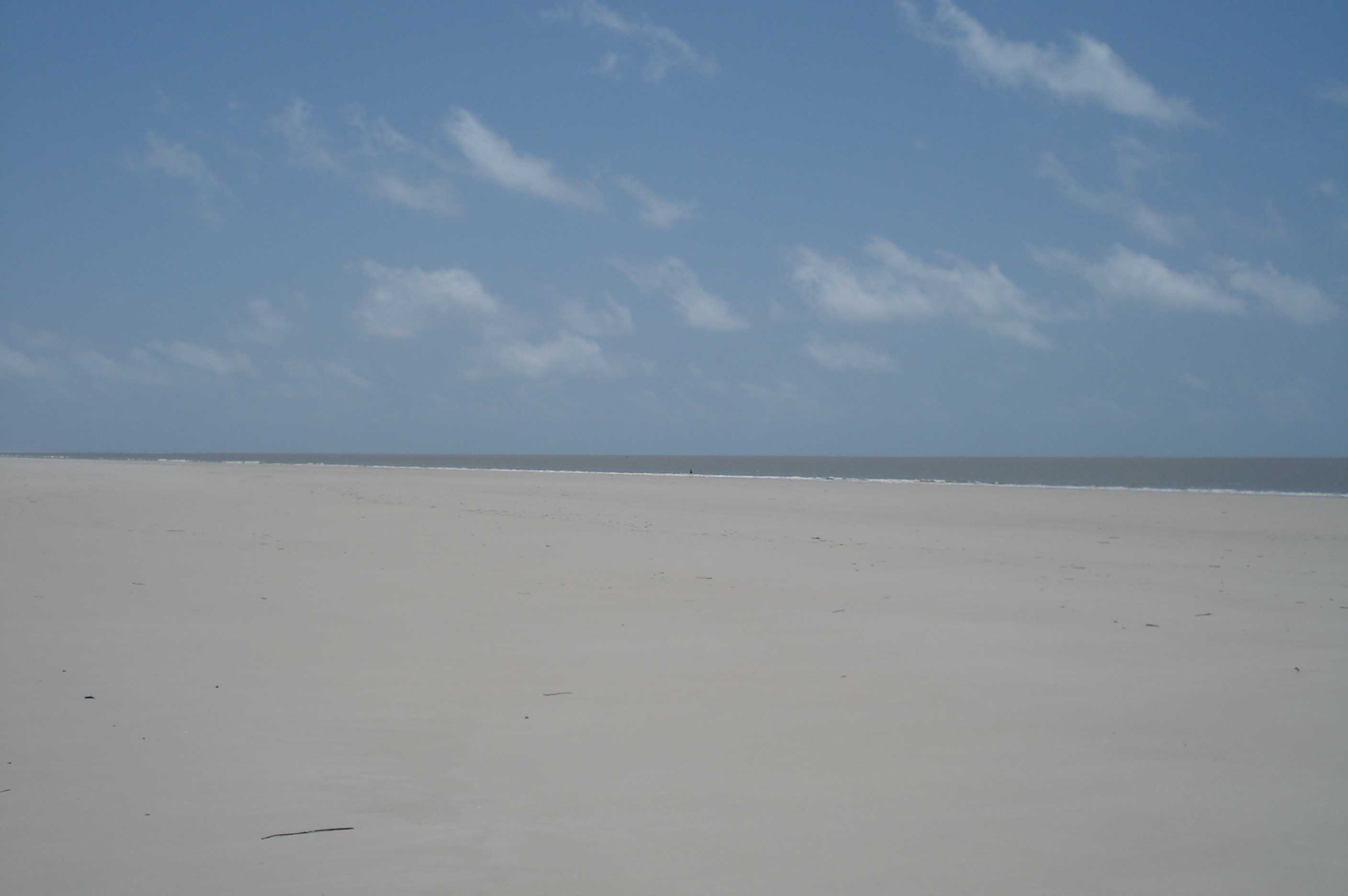 Praia de Ajuruteua (foto: Eduardo Siegle)