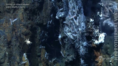 Hydrothermal vents in the deep sea