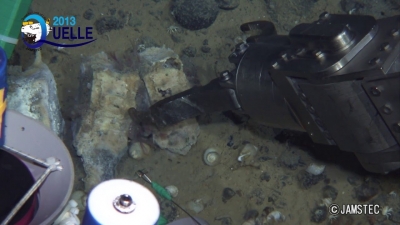 First record of a natural whale fall in the deep Atlantic Ocean